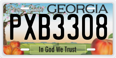 GA license plate PXB3308