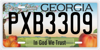 GA license plate PXB3309