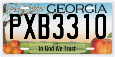 GA license plate PXB3310