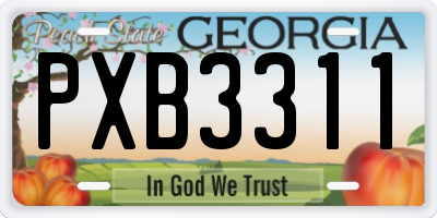 GA license plate PXB3311