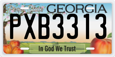 GA license plate PXB3313