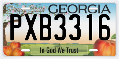 GA license plate PXB3316
