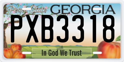 GA license plate PXB3318