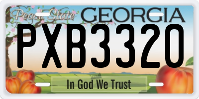 GA license plate PXB3320