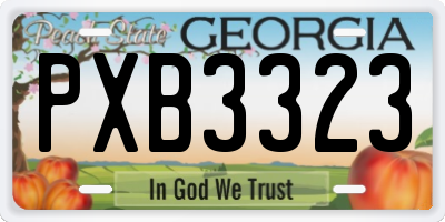 GA license plate PXB3323