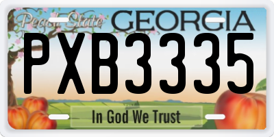 GA license plate PXB3335