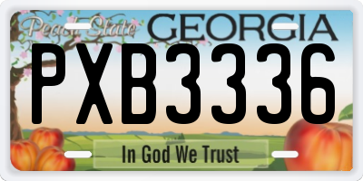 GA license plate PXB3336