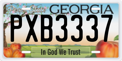 GA license plate PXB3337