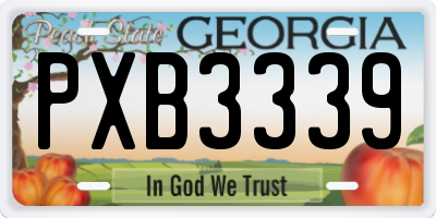 GA license plate PXB3339