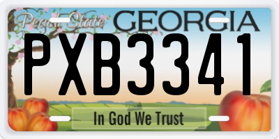 GA license plate PXB3341