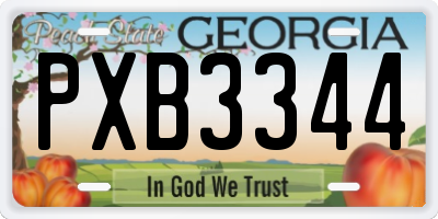 GA license plate PXB3344
