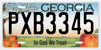 GA license plate PXB3345
