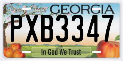 GA license plate PXB3347
