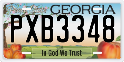 GA license plate PXB3348
