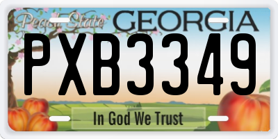GA license plate PXB3349