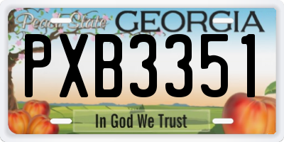 GA license plate PXB3351