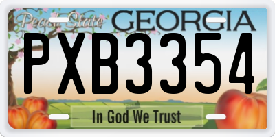GA license plate PXB3354