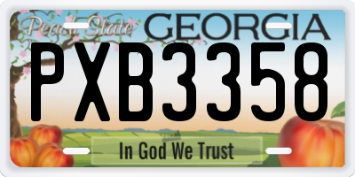 GA license plate PXB3358