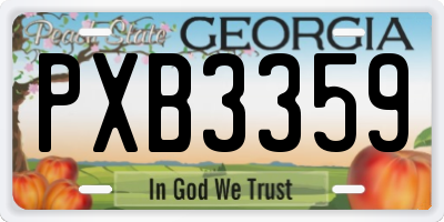 GA license plate PXB3359