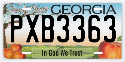 GA license plate PXB3363