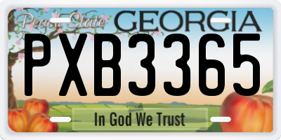 GA license plate PXB3365