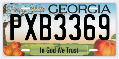 GA license plate PXB3369