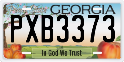 GA license plate PXB3373