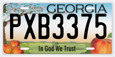 GA license plate PXB3375