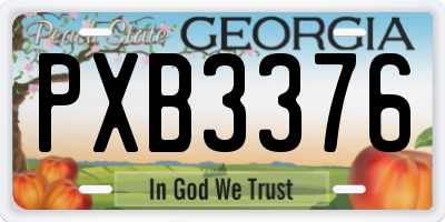GA license plate PXB3376