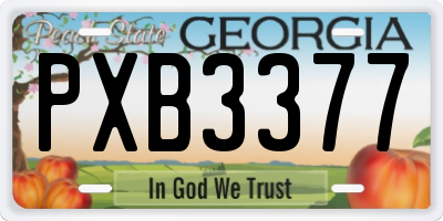 GA license plate PXB3377