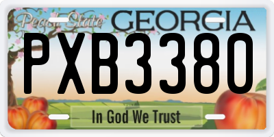 GA license plate PXB3380