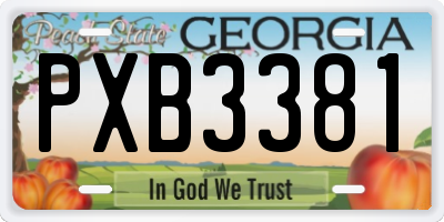 GA license plate PXB3381
