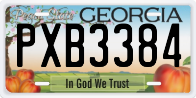 GA license plate PXB3384