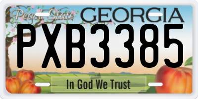 GA license plate PXB3385