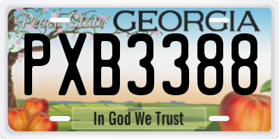 GA license plate PXB3388