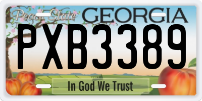 GA license plate PXB3389