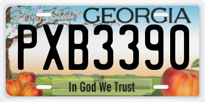 GA license plate PXB3390
