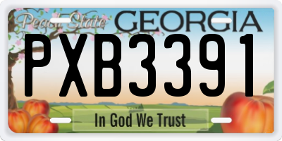 GA license plate PXB3391