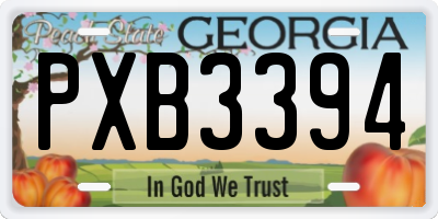 GA license plate PXB3394