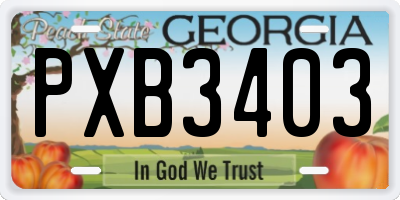 GA license plate PXB3403