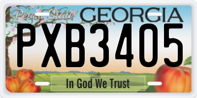 GA license plate PXB3405