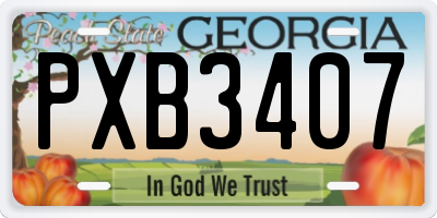 GA license plate PXB3407