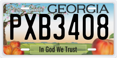 GA license plate PXB3408