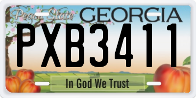 GA license plate PXB3411