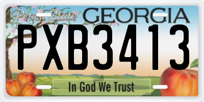 GA license plate PXB3413