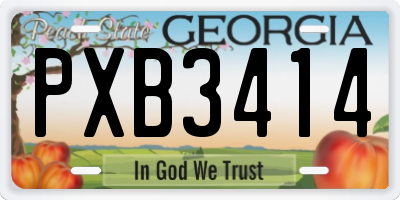 GA license plate PXB3414