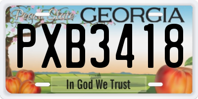 GA license plate PXB3418