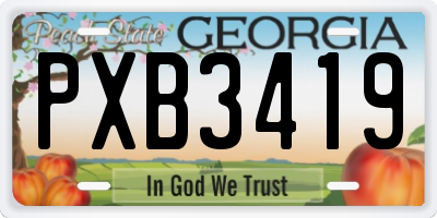 GA license plate PXB3419