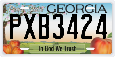 GA license plate PXB3424