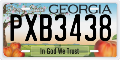 GA license plate PXB3438
